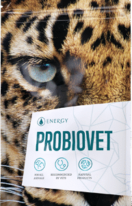 Probiovet kapsle 90 ks