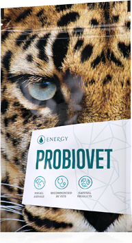 Probiovet kapsle 90 ks