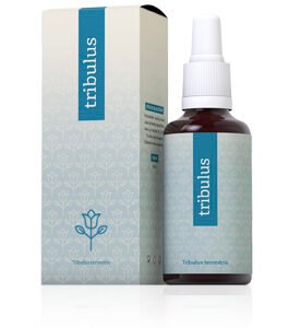 Tribulus terrestris bylinný koncentrát 30 ml